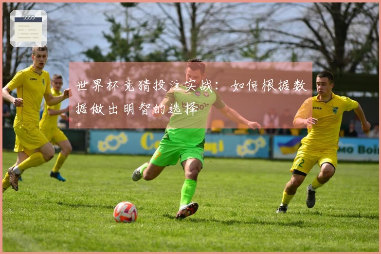 世界杯竞猜投注实战：如何根据数据做出明智的选择