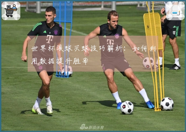 世界杯滚球买球技巧解析：如何利用数据提升胜率