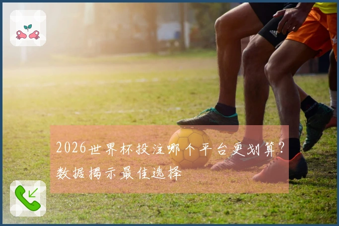2026世界杯投注哪个平台更划算？数据揭示最佳选择
