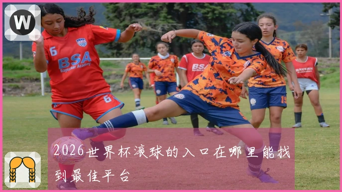 2026世界杯滚球的入口在哪里能找到最佳平台