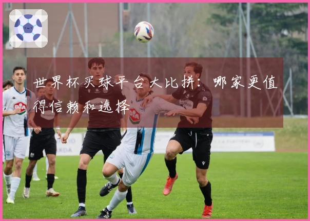 世界杯买球平台大比拼：哪家更值得信赖和选择