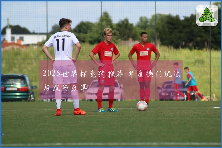 2026世界杯竞猜推荐 年度热门玩法与技巧分享
