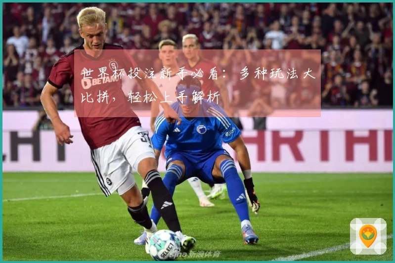世界杯投注新手必看：多种玩法大比拼，轻松上手解析