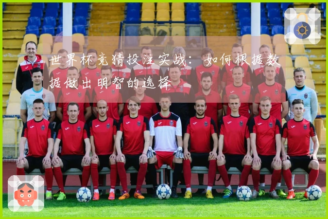 世界杯竞猜投注实战：如何根据数据做出明智的选择