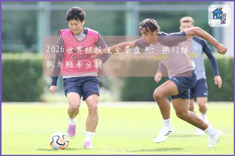 2026世界杯投注全景盘点：热门球队与赔率分析
