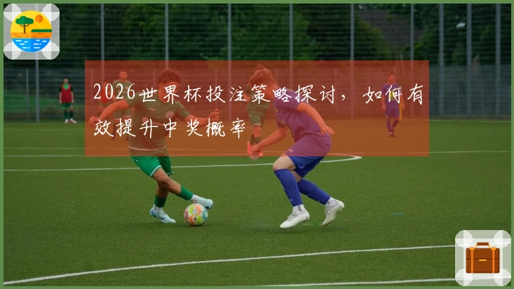 2026世界杯投注策略探讨，如何有效提升中奖概率