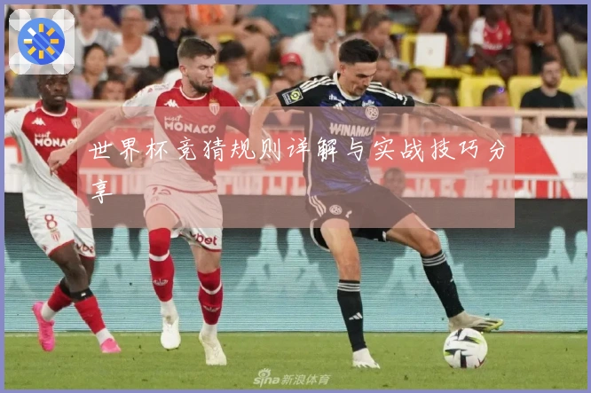 世界杯竞猜规则详解与实战技巧分享