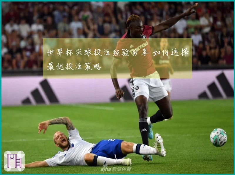 世界杯买球投注经验分享 如何选择最优投注策略