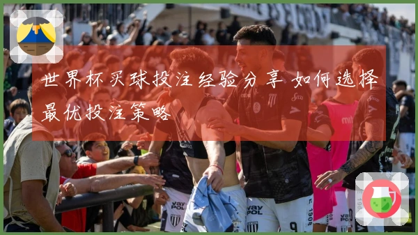 世界杯买球投注经验分享 如何选择最优投注策略