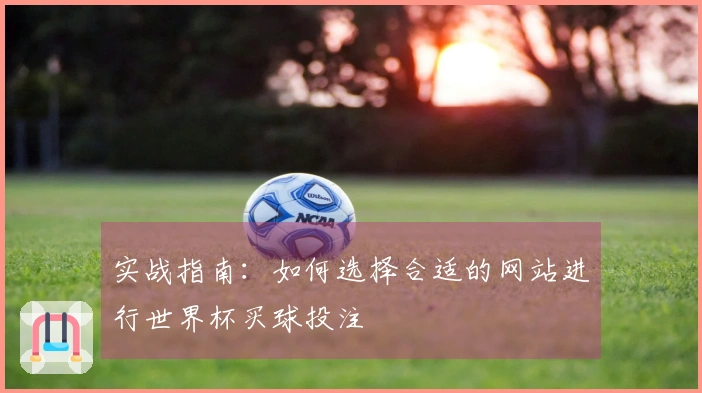 实战指南：如何选择合适的网站进行世界杯买球投注