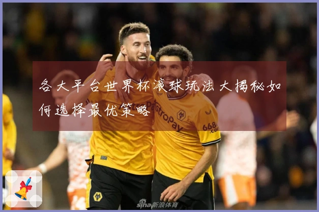 各大平台世界杯滚球玩法大揭秘如何选择最优策略