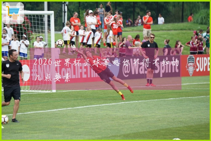 2026世界杯买球策略你不得不知的几点要素
