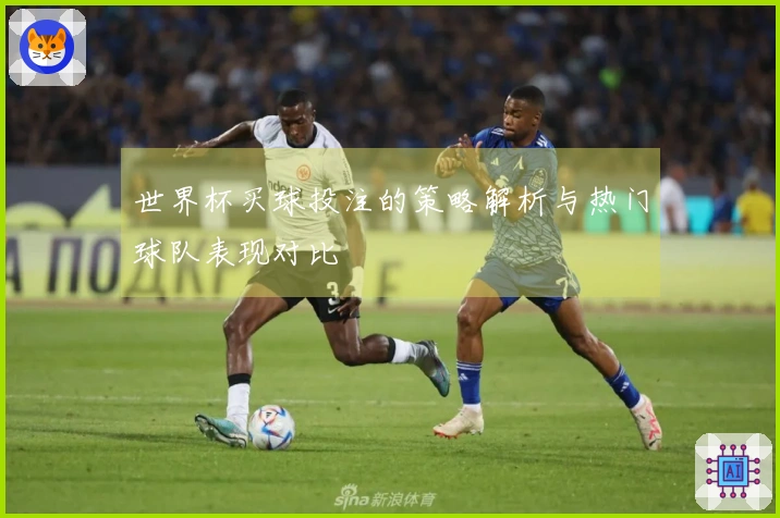 世界杯买球投注的策略解析与热门球队表现对比
