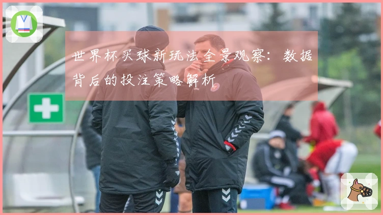 世界杯买球新玩法全景观察：数据背后的投注策略解析