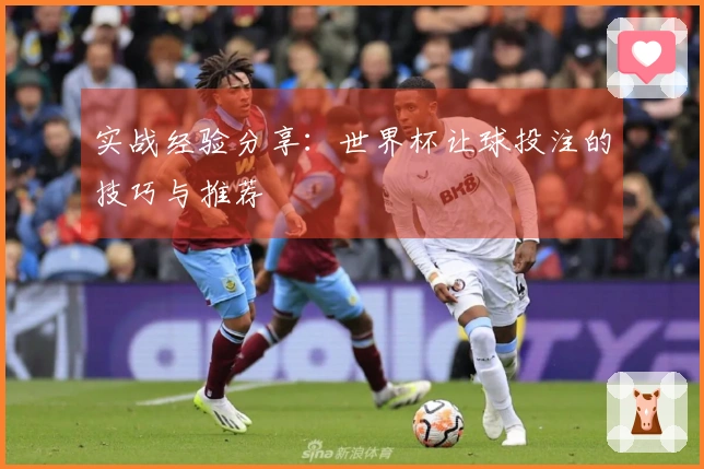 实战经验分享：世界杯让球投注的技巧与推荐